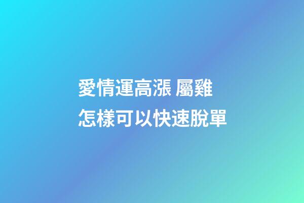 愛情運高漲 屬雞怎樣可以快速脫單